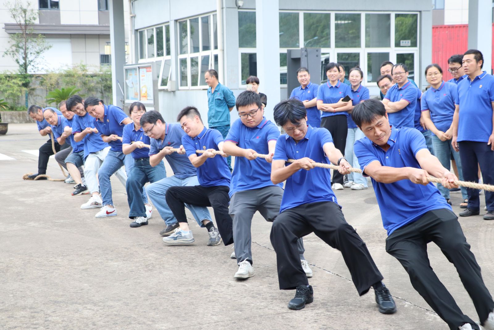 尊龙凯时(中国)人生就是搏!